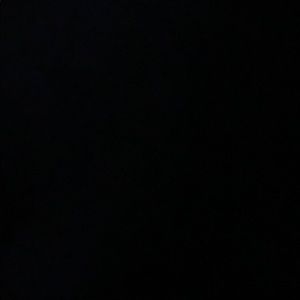 Meet your Posher, Tyra